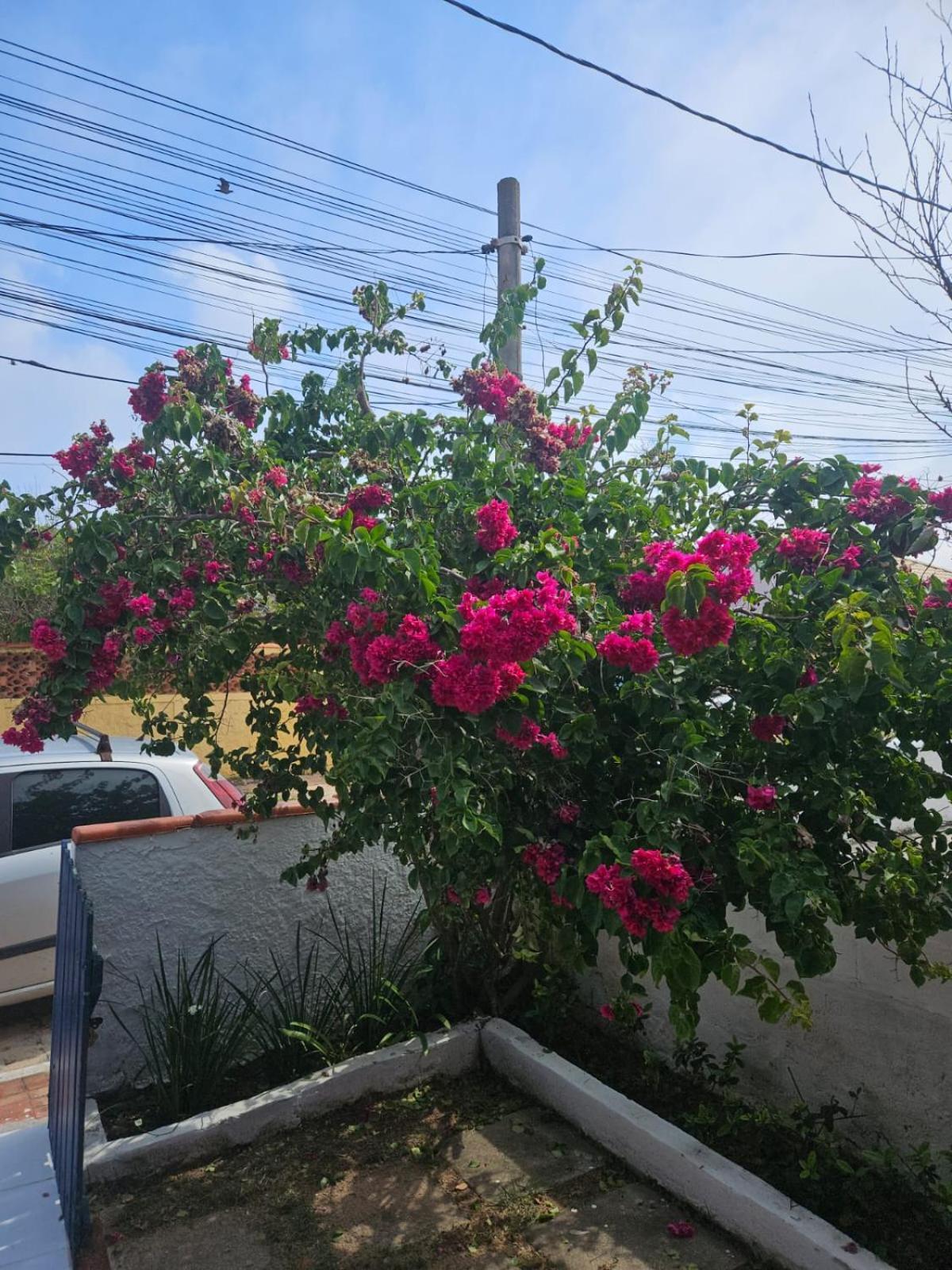 فيلا Casa De Temporada Em Figueira - Arraial Do Cabo - Casa 5 المظهر الخارجي الصورة